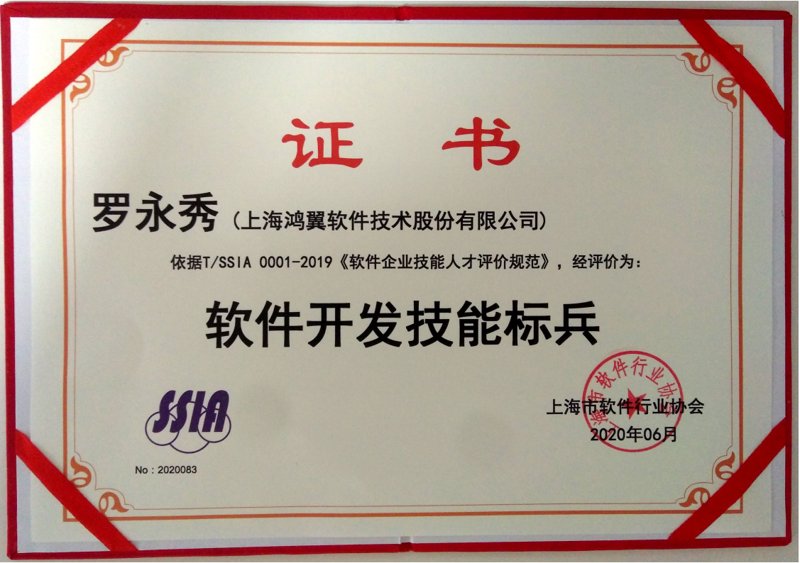 上海软件开发市场动态：技术革新与挑战同行